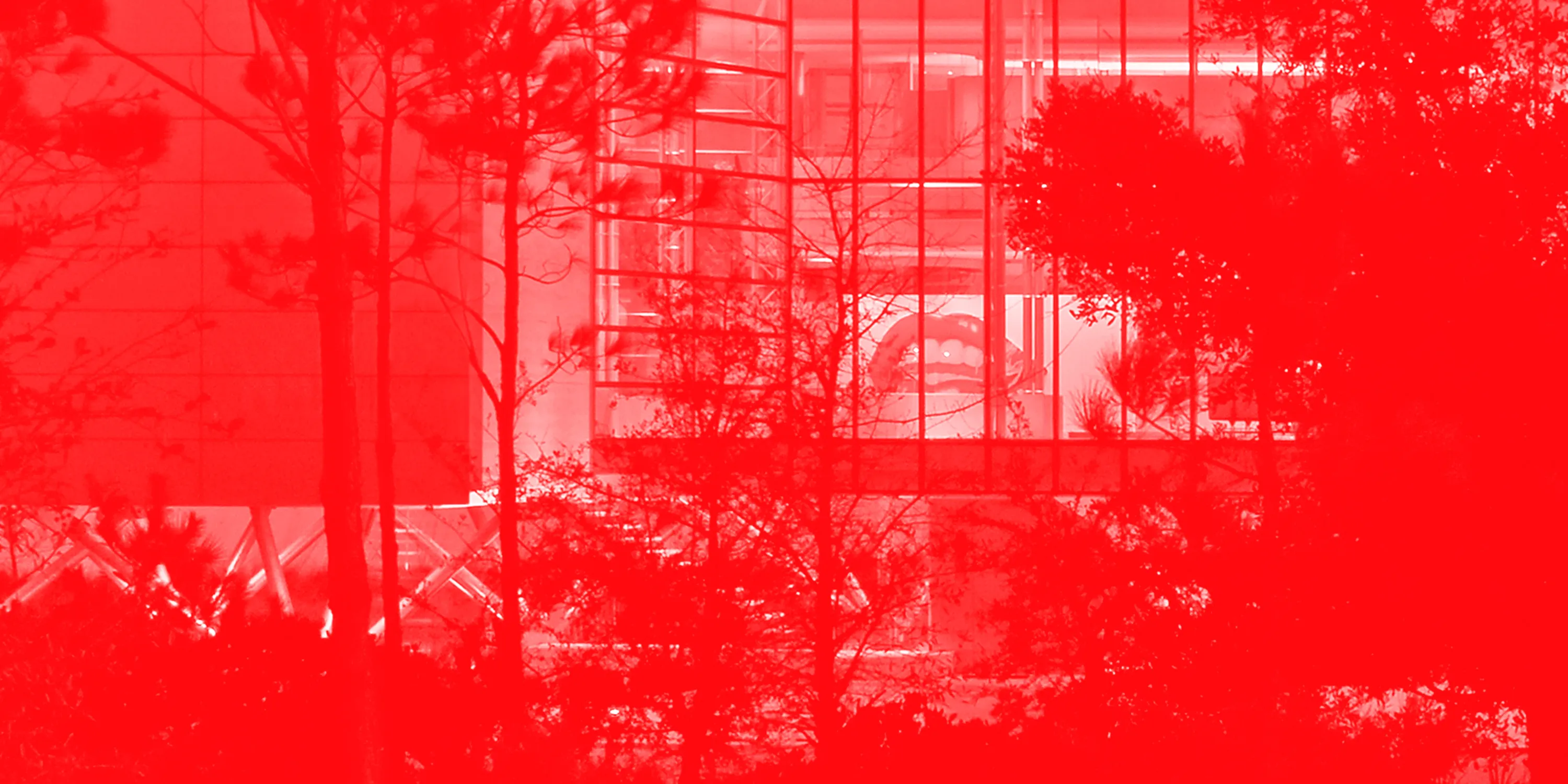 Transparent House Red